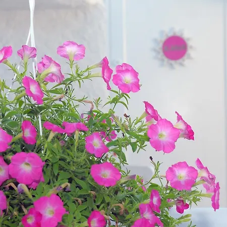 Hotel Alanur Alaçatı