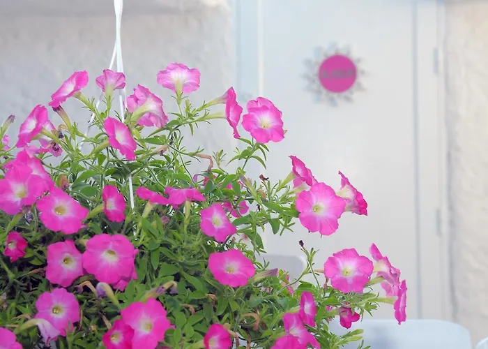 Отель Alanur Алачати