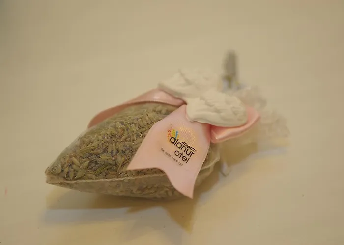 Otel Alanur Alaçatı